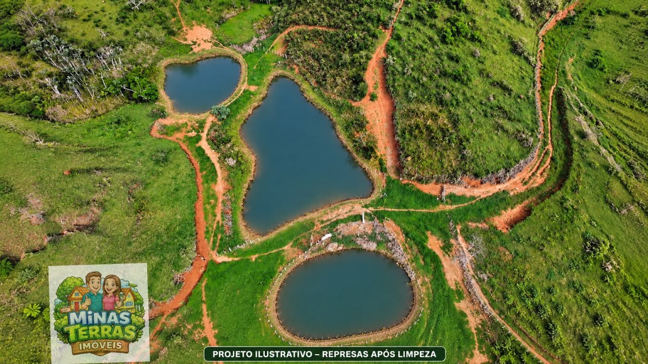 Sítio em Coronel Pacheco — 5 alqueires — foto 2