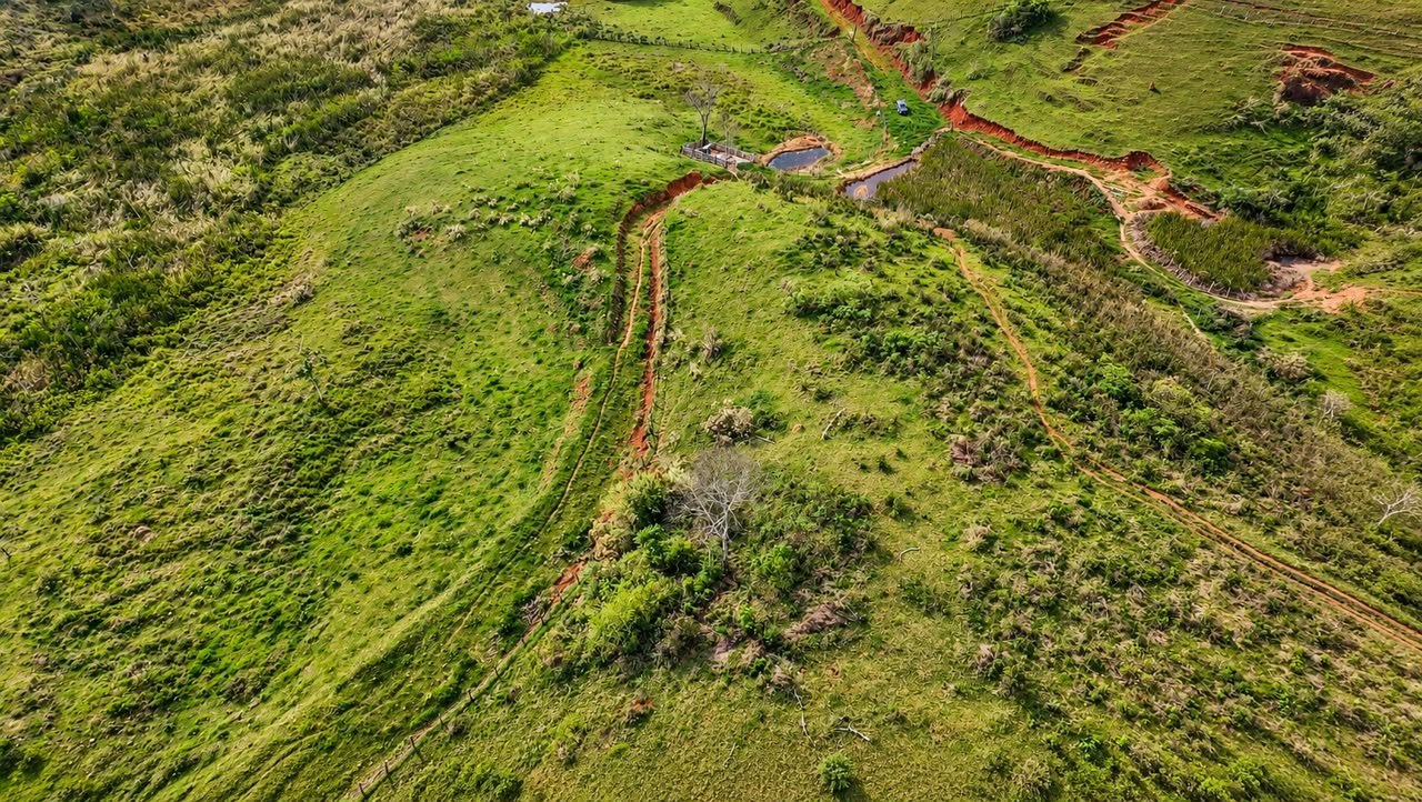 Sítio em Coronel Pacheco — 5 alqueires — foto 3