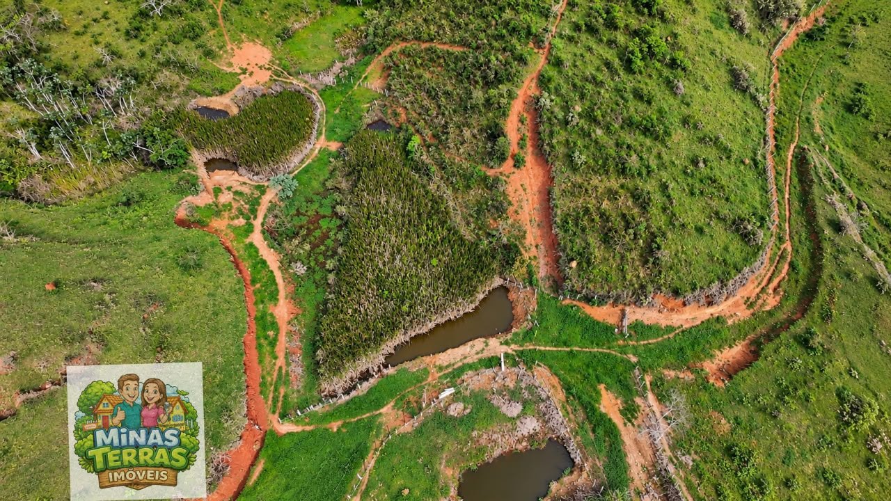 Sítio em Coronel Pacheco — 5 alqueires — foto 4