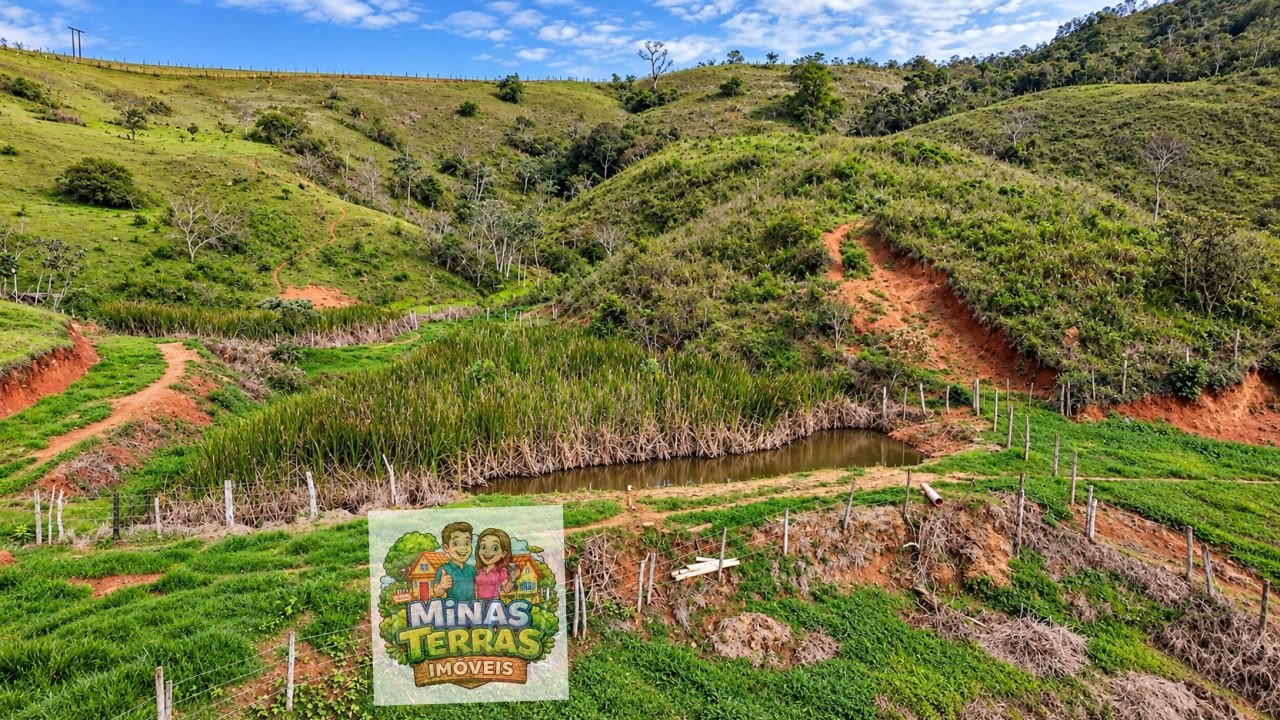 Sítio em Coronel Pacheco — 5 alqueires — foto 5
