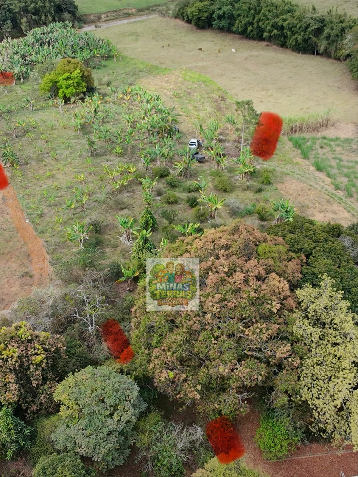 Sítio em Piau — 1,3 hectares a 2 km do centro — foto 3