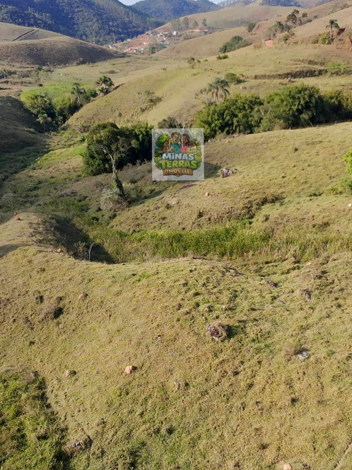 Sítio à venda: Sítio em Triqueda — 6,5 hectares em Triqueda, MG