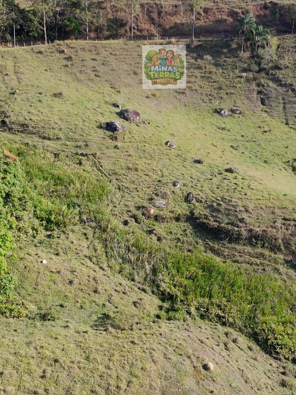 Sítio em Triqueda — 6,5 hectares — foto 2