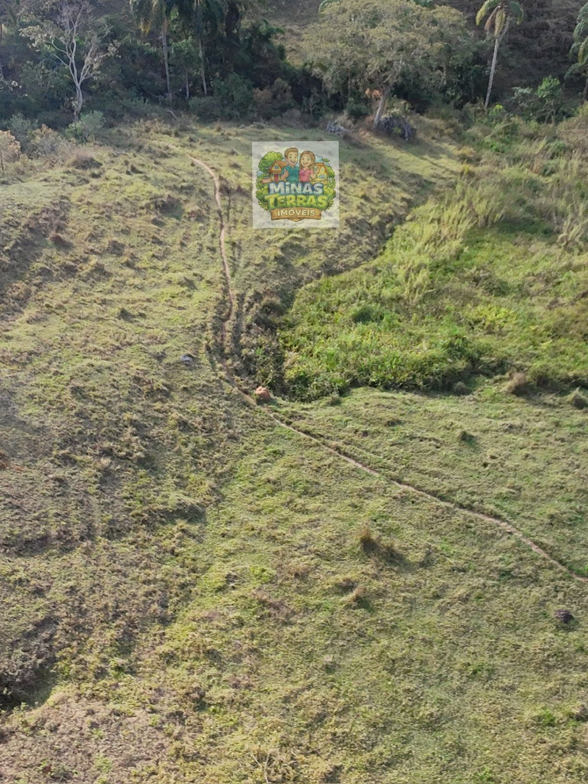Sítio em Triqueda — 6,5 hectares — foto 3